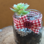 Pensiero a quadretti