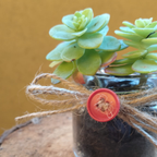 Pensiero intrecciato