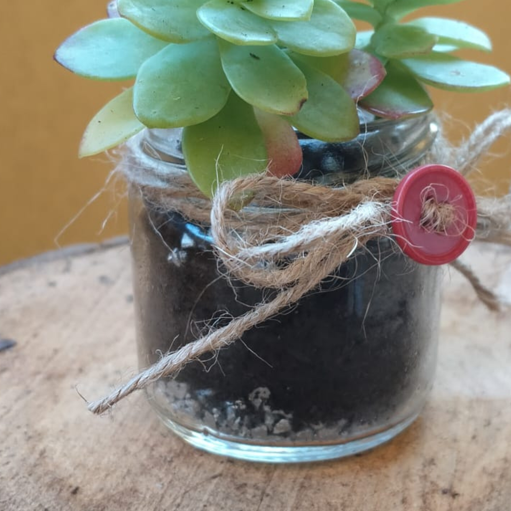 Pensiero intrecciato