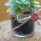 Pensiero intrecciato