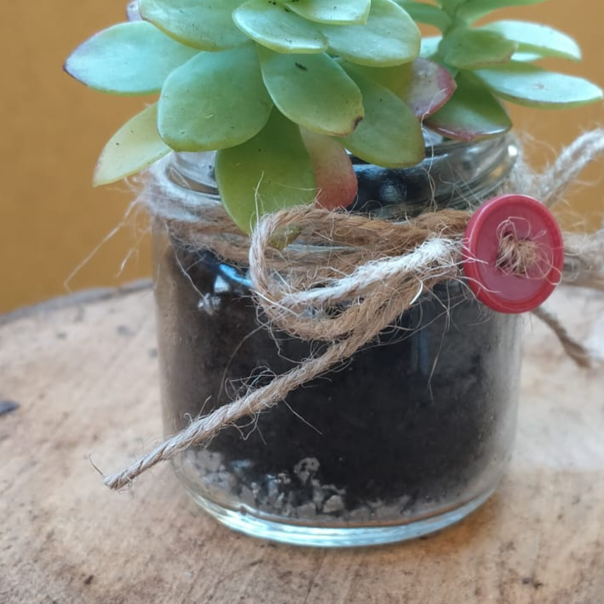 Pensiero intrecciato